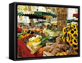 Fruit and Vegetable Market, Aix-En-Provence, Bouches-Du-Rhone, Provence, France, Europe-Peter Richardson-Framed Stretched Canvas