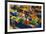 Fruit and Vegetable Market, Konya, Central Anatolia, Turkey, Asia Minor, Eurasia-Bruno Morandi-Framed Photographic Print