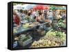 Fruit and Vegetable Market, Split, Dalmatia Coast, Croatia-Christian Kober-Framed Stretched Canvas