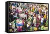 Fruit and Vegetable Market, Udaipur, Rajasthan, India-Peter Adams-Framed Stretched Canvas