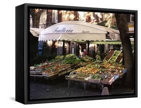 Fruit and Vegetable Shop in the Piazza Mercato, Frascati, Lazio, Italy-Michael Newton-Framed Stretched Canvas