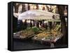 Fruit and Vegetable Shop in the Piazza Mercato, Frascati, Lazio, Italy-Michael Newton-Framed Stretched Canvas