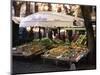 Fruit and Vegetable Shop in the Piazza Mercato, Frascati, Lazio, Italy-Michael Newton-Mounted Photographic Print