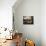 Fruit and Vegetable Shop in the Piazza Mercato, Frascati, Lazio, Italy-Michael Newton-Photographic Print displayed on a wall