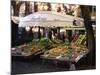 Fruit and Vegetable Shop in the Piazza Mercato, Frascati, Lazio, Italy-Michael Newton-Mounted Photographic Print