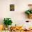 Fruit and Vegetable Stall at Campo De Fiori Market, Rome, Lazio, Italy, Europe-Peter Barritt-Photographic Print displayed on a wall