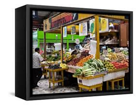 Fruit and Vegetable Stand in the Central Market, Mazatlan, Mexico-Charles Sleicher-Framed Stretched Canvas