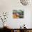 Fruit and Vegetable Stand in the Central Market, Mazatlan, Mexico-Charles Sleicher-Photographic Print displayed on a wall