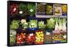 Fruit and Vegetables for Sale in Logrono Covered Market, La Rioja, Spain, Europe-Martin Child-Framed Stretched Canvas