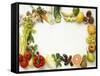 Fruit and Vegetables Forming a Frame-Walter Cimbal-Framed Stretched Canvas