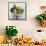 Fruit And Vegetables-David Munns-Framed Stretched Canvas displayed on a wall