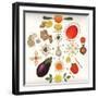 Fruit and Vegetables-Wayne Anderson-Framed Giclee Print