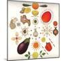 Fruit and Vegetables-Wayne Anderson-Mounted Giclee Print
