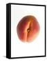 Fruit Apricot-null-Framed Stretched Canvas