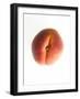 Fruit Apricot-null-Framed Photographic Print