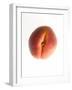 Fruit Apricot-null-Framed Photographic Print