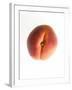 Fruit Apricot-null-Framed Photographic Print