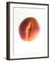 Fruit Apricot-null-Framed Photographic Print