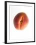 Fruit Apricot-null-Framed Photographic Print