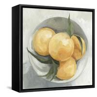 Fruit Bowl I-null-Framed Stretched Canvas