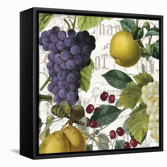Fruit Bowl I-Color Bakery-Framed Stretched Canvas