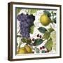 Fruit Bowl I-Color Bakery-Framed Giclee Print