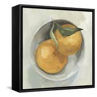 Fruit Bowl II-null-Framed Stretched Canvas