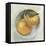 Fruit Bowl II-null-Framed Stretched Canvas