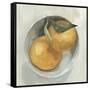 Fruit Bowl II-null-Framed Stretched Canvas