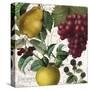 Fruit Bowl II-Color Bakery-Stretched Canvas