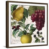 Fruit Bowl II-Color Bakery-Framed Giclee Print