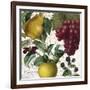 Fruit Bowl II-Color Bakery-Framed Giclee Print