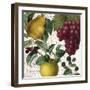 Fruit Bowl II-Color Bakery-Framed Giclee Print