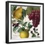 Fruit Bowl II-Color Bakery-Framed Giclee Print