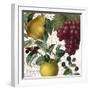 Fruit Bowl II-Color Bakery-Framed Giclee Print