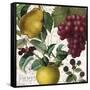 Fruit Bowl II-Color Bakery-Framed Stretched Canvas