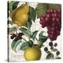 Fruit Bowl II-Color Bakery-Stretched Canvas