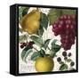 Fruit Bowl II-Color Bakery-Framed Stretched Canvas