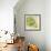 Fruit Bowl Trio II-Tim OToole-Framed Art Print displayed on a wall