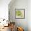 Fruit Bowl Trio II-Tim OToole-Framed Art Print displayed on a wall