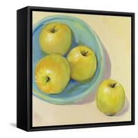 Fruit Bowl Trio II-Tim OToole-Framed Stretched Canvas