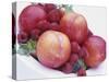 Fruit Bowl with Red Plums and Raspberries-Linda Burgess-Stretched Canvas