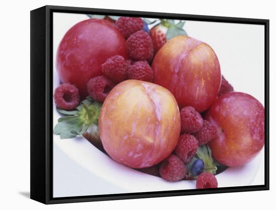 Fruit Bowl with Red Plums and Raspberries-Linda Burgess-Framed Stretched Canvas
