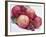 Fruit Bowl with Red Plums and Raspberries-Linda Burgess-Framed Photographic Print