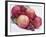 Fruit Bowl with Red Plums and Raspberries-Linda Burgess-Framed Photographic Print