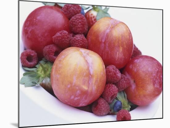 Fruit Bowl with Red Plums and Raspberries-Linda Burgess-Mounted Photographic Print
