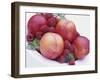 Fruit Bowl with Red Plums and Raspberries-Linda Burgess-Framed Photographic Print