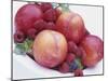 Fruit Bowl with Red Plums and Raspberries-Linda Burgess-Mounted Photographic Print