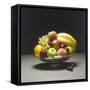 Fruit Bowl-null-Framed Stretched Canvas