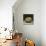 Fruit Bowl-null-Mounted Photographic Print displayed on a wall